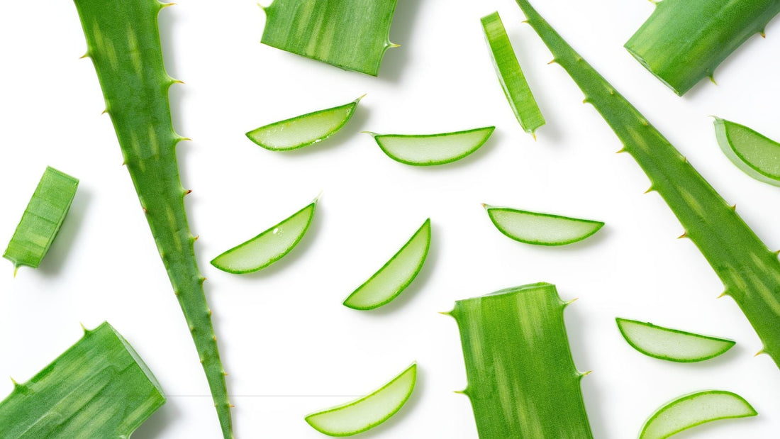 The Best Organic Natural Skin Care for Radiant, Healthy Skin