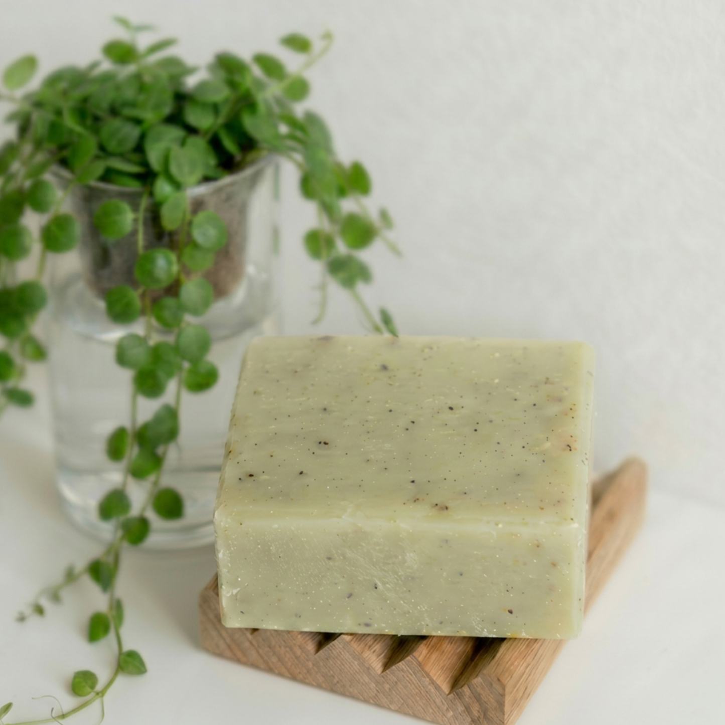 Sacred Roots Skin Bar